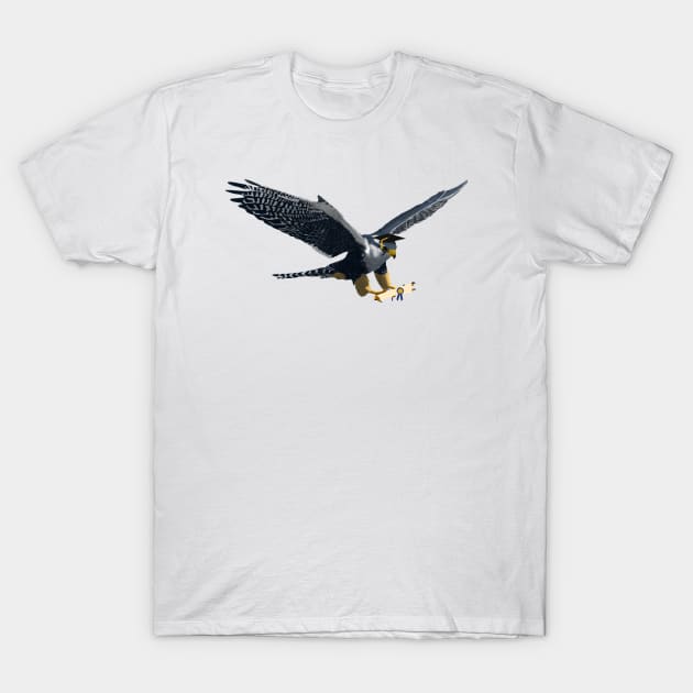 Graduation Falcon T-Shirt by College Mascot Designs